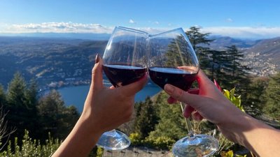 Дегустация вин в Ломбардии